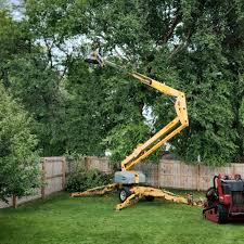 Best Lawn Drainage Solutions  in Prairie Du Chien, WI