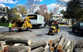 Best Tree Removal  in Prairie Du Chien, WI