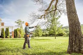Prairie Du Chien, WI Tree Removal Company
