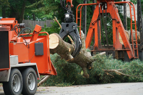 Organic Lawn Care Solutions in Prairie Du Chien, WI